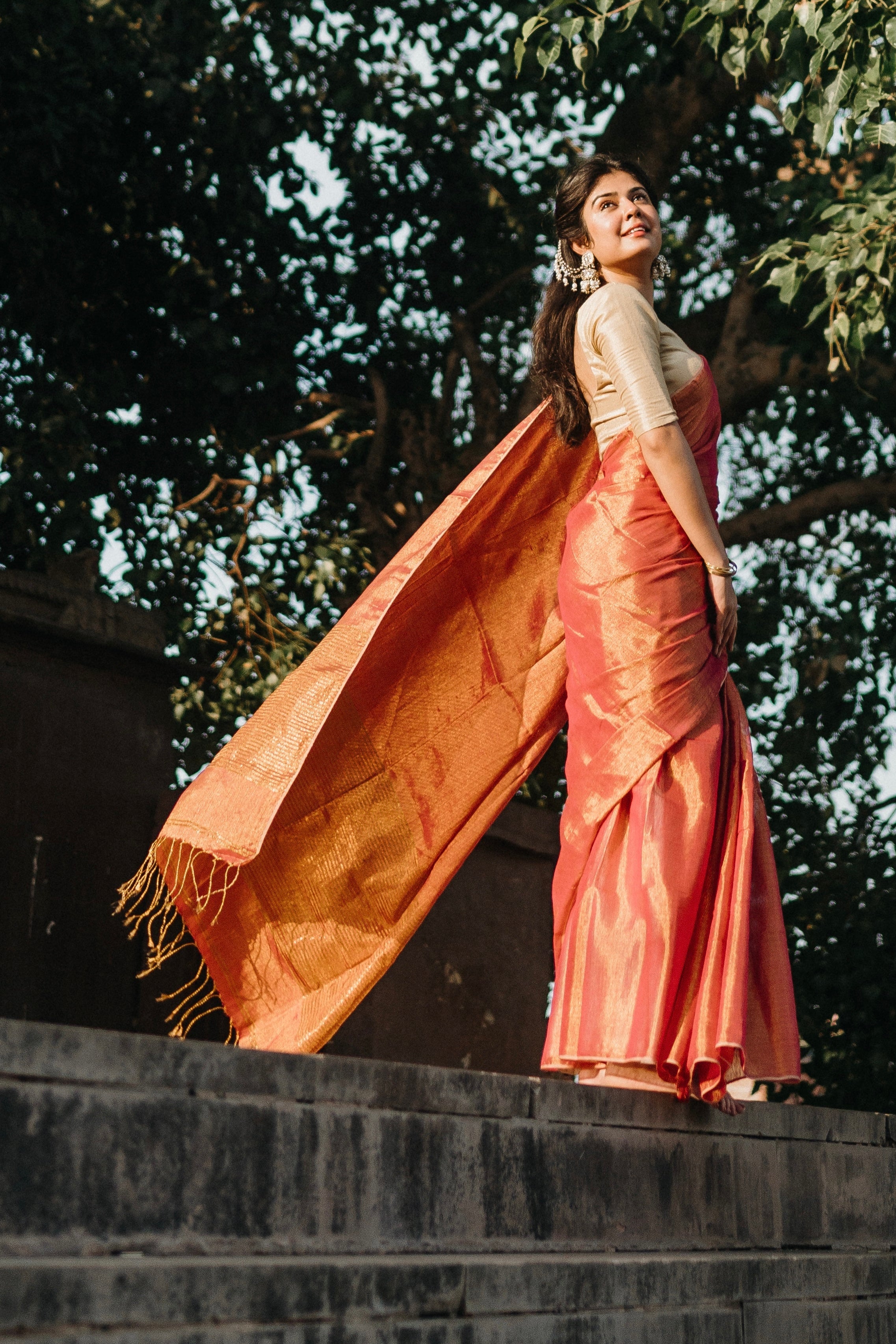 Dual Tone Tissue Linen Saree- Roseberry